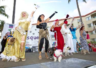 Pet Masquerade and Parade 2013 photo - Duval Street, Key West